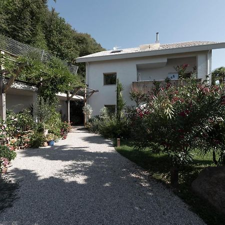 La Loggia Georg Apartman Pianizza di Sopra Kültér fotó